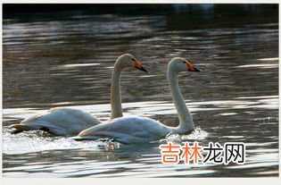 夏天白天长冬天白天短的原因,为什么冬天白天时间短夏天白天时间长？