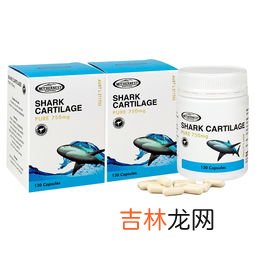 鲨鱼软骨胶囊一天几粒,软骨素详细资料大全