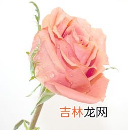 申时出生为什么好,孩子出生一天最佳时辰 申时？
