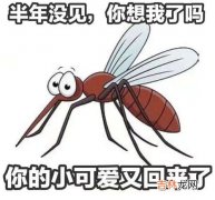 蚊子为什么不会传播艾滋病,为什么蚊子可以传播其他病毒，但是不能传播艾滋病