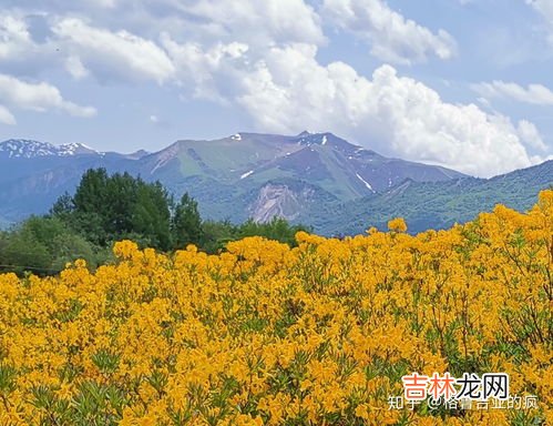 格鲁吉亚是哪个国家,格鲁吉亚是哪个国家？