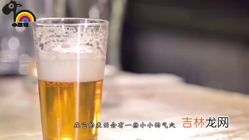 啤酒为什么有泡沫,为什么啤酒有气泡