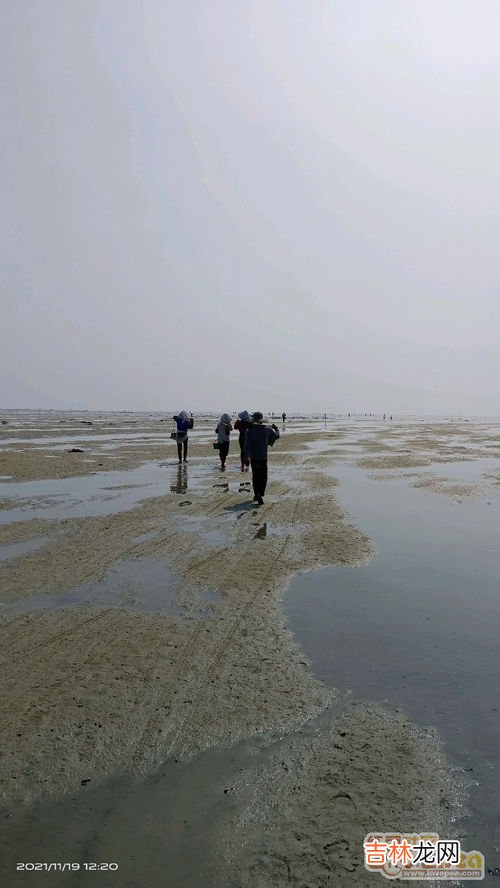 北海哪里可以自己赶海,北海一月赶海最佳时间