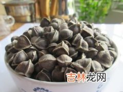 辣木籽什么味道的,辣木籽什么味道的?