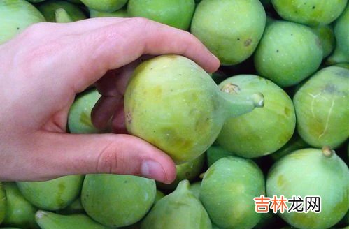 无花果一天最多吃几个,无花果下火还是上火 无花果一天吃多少最好