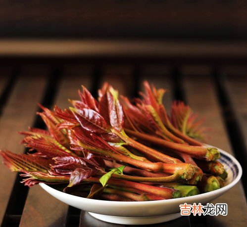 香椿可以直接生吃吗,俗语“常食香椿芽不染病”,孕妇可以吃香椿吗?网友:讲究不少