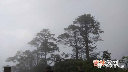 雷洞坪到金顶要多久,请问峨眉山，从雷坪洞到金顶徒步爬的话要多少时间?春节去的话雪会不会很厚，爬山会不会有很危险呢?