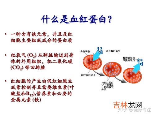 人为什么会缺氧,为什么老年人容易缺氧？