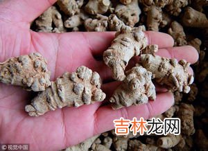 三七的副作用,三七粉的副作用