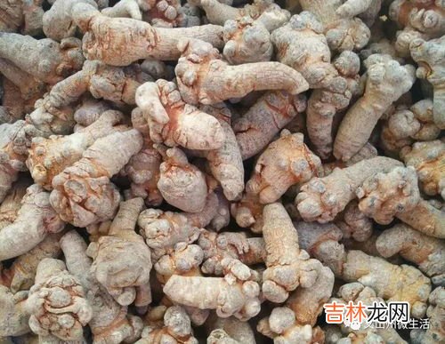 三七的副作用,三七粉的副作用