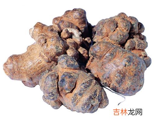 三七的副作用,三七粉的副作用