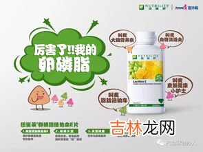 安利大豆卵磷脂的作用,安利大豆卵磷脂的作用