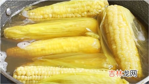 玉米能放多久,玉米常温能放多久