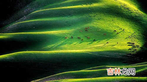 与中国陆地相邻的国家有几个,最大的是,与中国接壤的国家都有哪些？