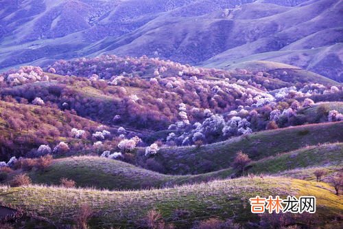 与中国陆地相邻的国家有几个,最大的是,与中国接壤的国家都有哪些？