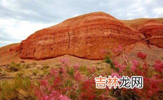 与中国陆地相邻的国家有几个,最大的是,与中国接壤的国家都有哪些？