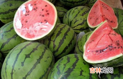 西瓜的子为什么是白色的,现在的西瓜为什么都是白籽