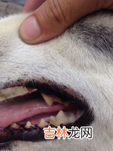 为什么一到夏天就流鼻血,夏天经常流鼻血是什么原因