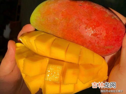 芒果可以放冰箱吗,芒果可以放冰箱保鲜吗