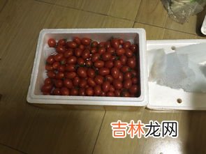 酒枣怎么保存,打开后的醉枣如何保存