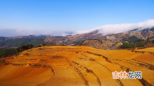 非洲土地到底贫瘠还是肥沃,为什么非洲是土地肥沃，物产丰富的第一大洲，却经常闹饥荒呢？