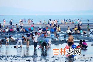 厦门哪里可以赶海抓海鲜,厦门哪里撒网