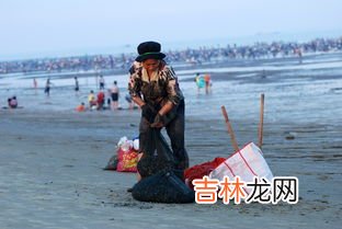 厦门哪里可以赶海抓海鲜,厦门哪里撒网