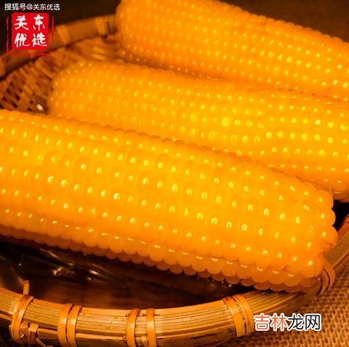新鲜玉米怎么放冰箱保存,如何保存鲜玉米?