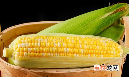 新鲜玉米怎么放冰箱保存,如何保存鲜玉米?