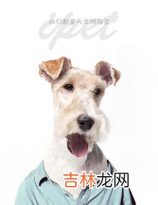 人模狗样指什么动物,人模狗样什么意思?有人说我