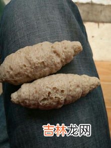 洗出来的面筋是碳水吗,凉皮是一种常见的小吃,吃多了会不会有害?