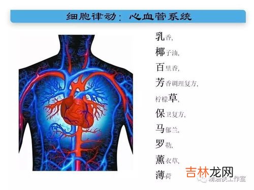 汉方通脉对心脑血管疾病管用吗,通脉胶囊效果好吗