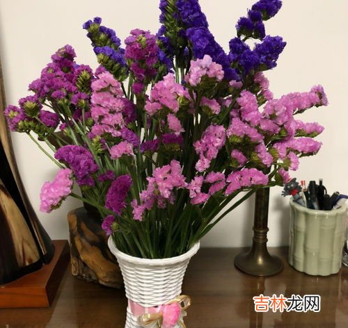 玫瑰花怎么保存成干花,玫瑰花怎么保存成干花