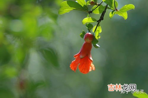 月亮别称,月亮的别称