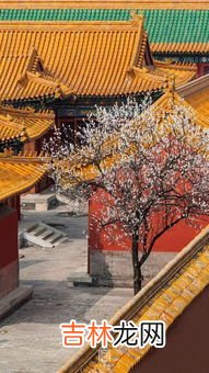 不属于故宫御花园的三奇石的是,故宫御花园三奇石是哪三种