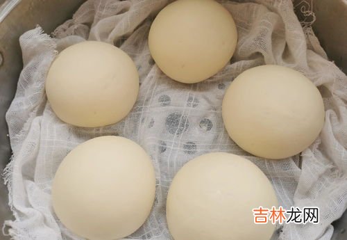 一个馒头多少卡,一个馒头的卡路里是多少?
