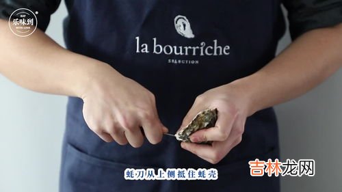 生蚝不开口是死的吗,生蚝活的是开口的还是闭口的?