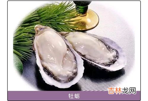 生蚝不开口是死的吗,生蚝活的是开口的还是闭口的?