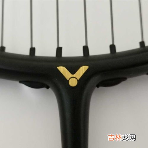 隼和鹰的区别,鹰,隼,雕,枭的区别是什么?