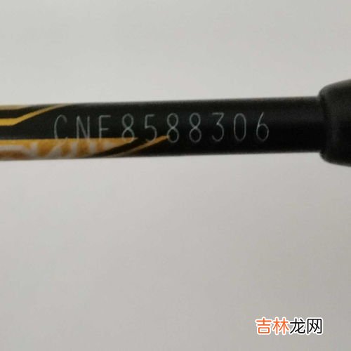 隼和鹰的区别,鹰,隼,雕,枭的区别是什么?