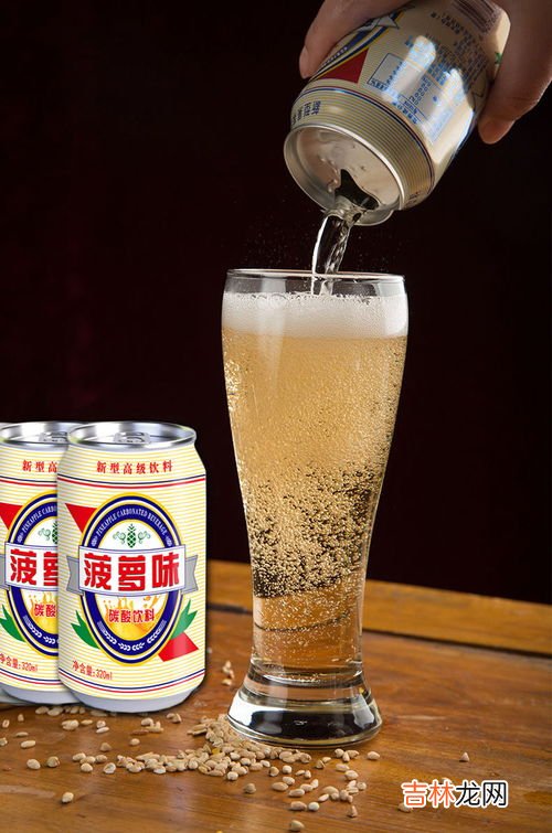 菠萝啤碳酸饮料是啤酒吗,菠萝啤是酒还是饮料?