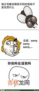 苍蝇飞行速度,苍蝇飞行的方向怎么不直?