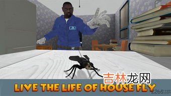 苍蝇飞行速度,苍蝇飞行的方向怎么不直?