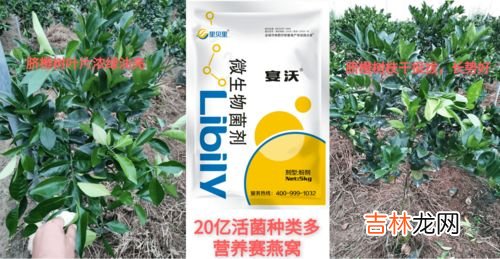 益本至高贴效果怎么样,益本至高贴怎么贴啊?一次要贴几贴?贴着麻烦吗?