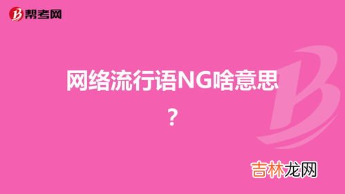 ng是什么意思,ng是什么意思