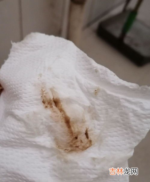 为什么月经一个月没来,女的一个月没来大姨妈是怎么回事