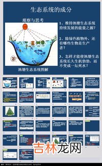 生态系统的组成成分,生态系统的组成成分