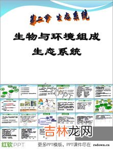 生态系统的组成成分,生态系统的组成成分