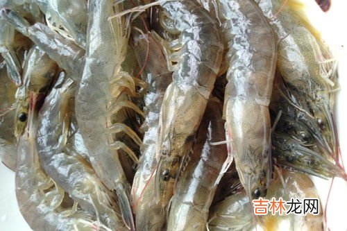 白酒能杀死虾里面的寄生虫吗,用98度白酒杀寄生虫可以吗？