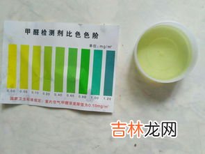 手腕带颜色区分,腕带的颜色代表着什么？